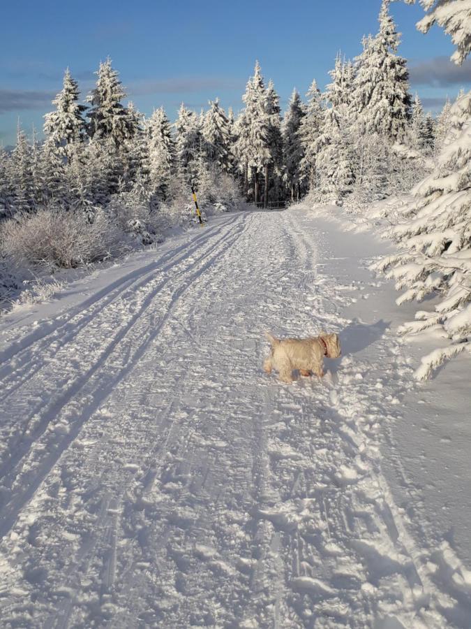 Ferienwohnungen "Am Schloessel" Oberwiesenthal Bagian luar foto